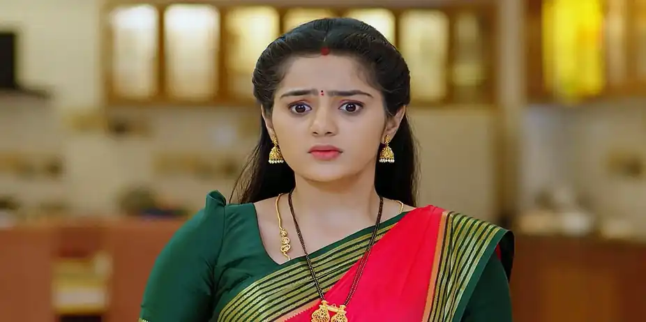 Manetana S1 E106 - Ananda Bhairavi Lashes out at Ananya