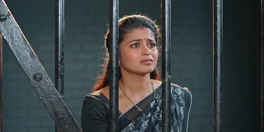 Dheerga Sumangali Bhava - July 22, 2025 - Best Scene