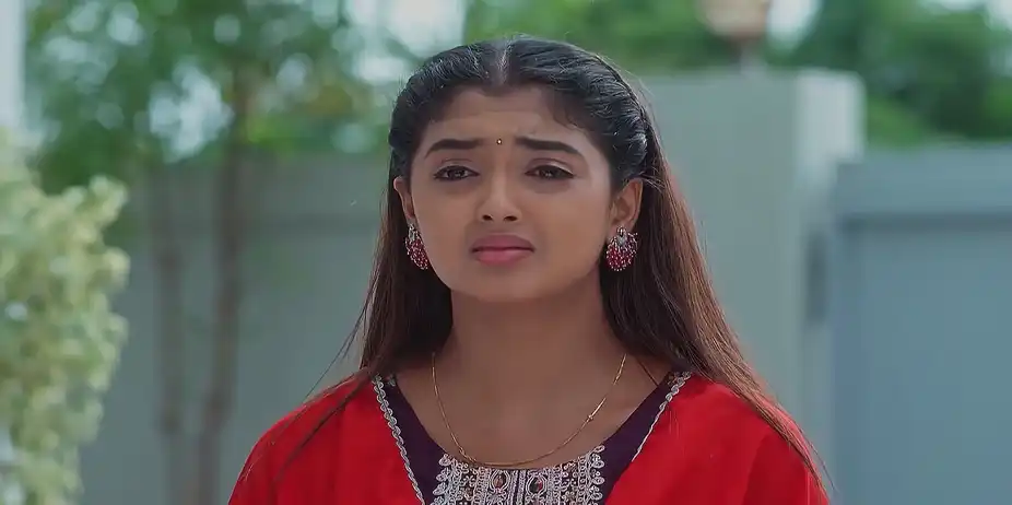 Meghasandesam - August 01, 2025 - Best Scene