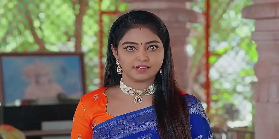 Jagadhatri - July 31, 2025 - Best Scene