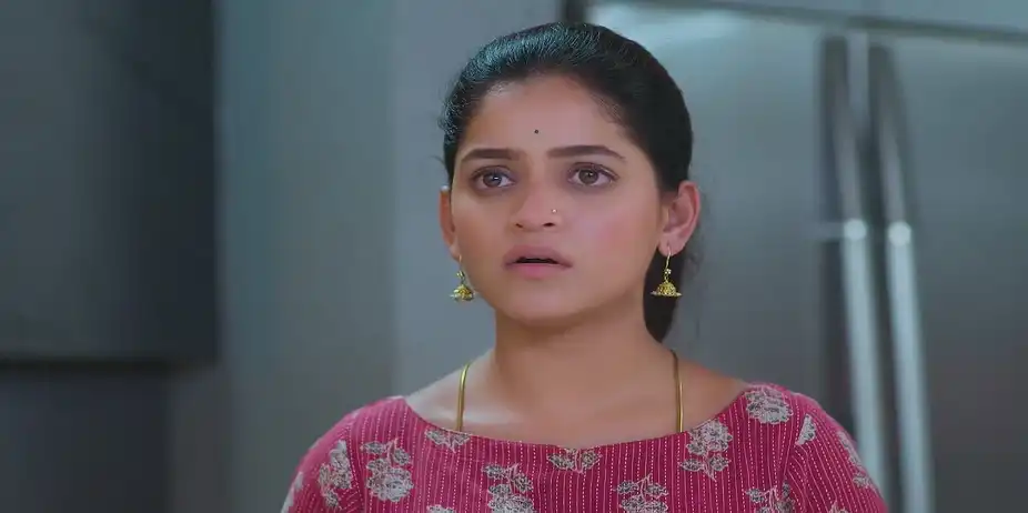Lakshmi Niwas - July 30, 2025 - Best Scene