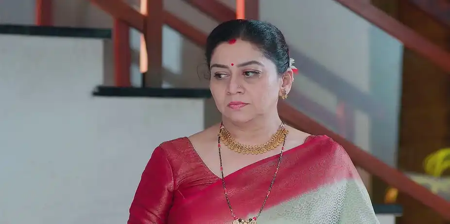 Radha Introduces Herself as Madhav's Wife - Shrirasthu Shubhamasthu