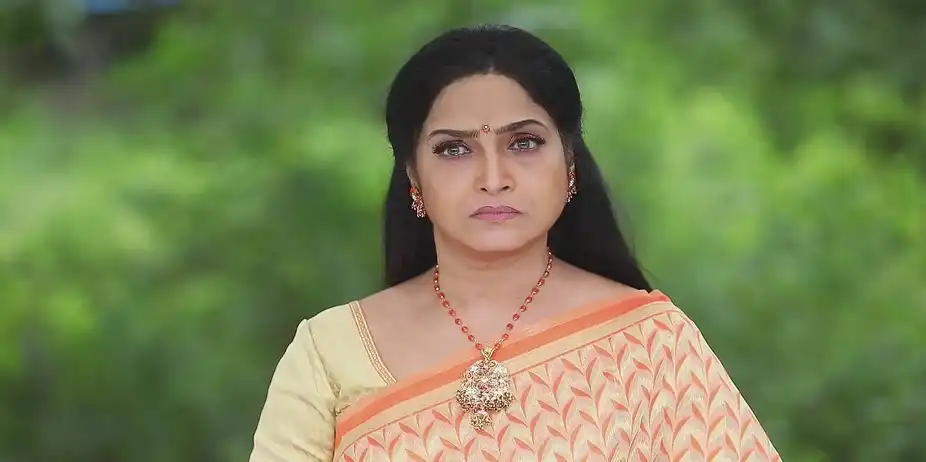 Sanakarapandi teases Nagajyothi - Maari