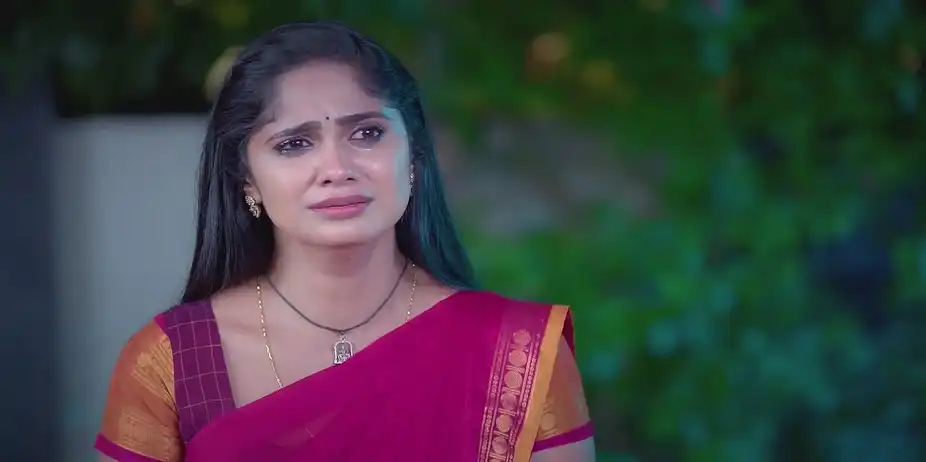 Narayanan's Death Shatters Chellamma - Ayali