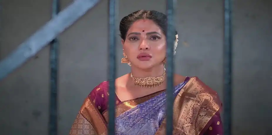 Raja Proves Chamundeshwari's Innocence - Karthigai Deepam