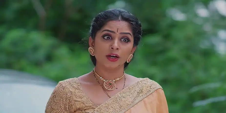 Meghasandesam - August 06, 2025 - Best Scene
