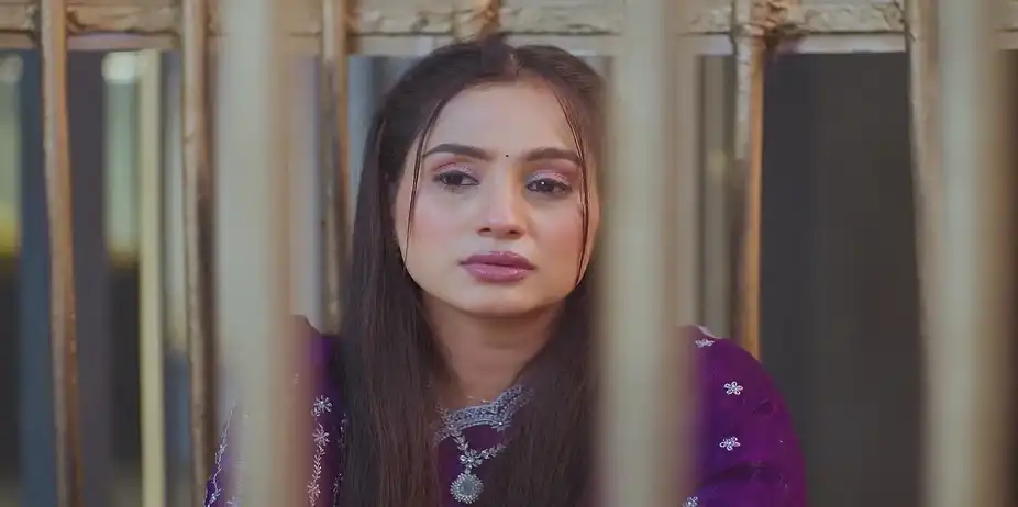 Jayant's Behaviour Hurts Janhavi - Lakshmi Niwas