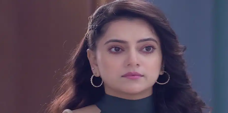 Everybody Enjoys Parul's Pithas - Parineeta