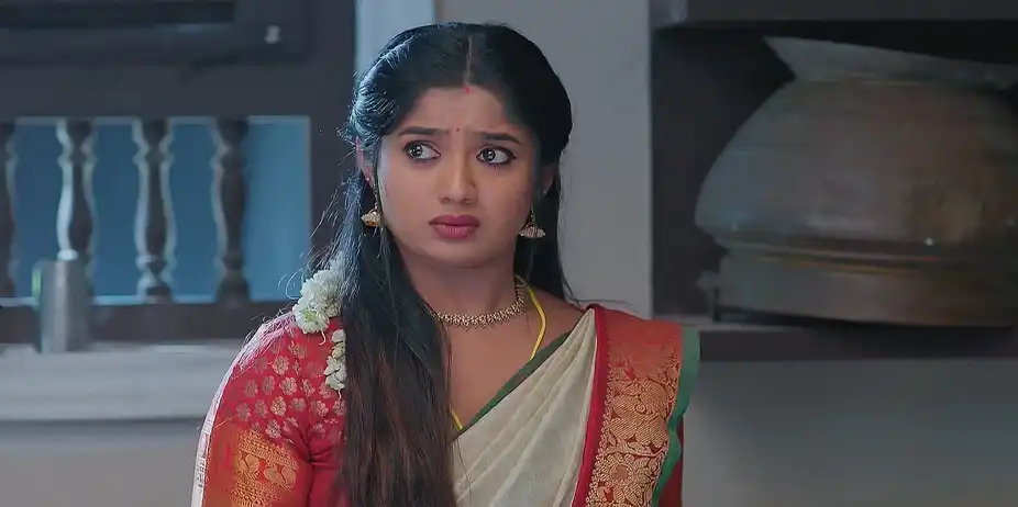 Asmita Ends Up Ruining Her Own Plan - Sandhyaraaga