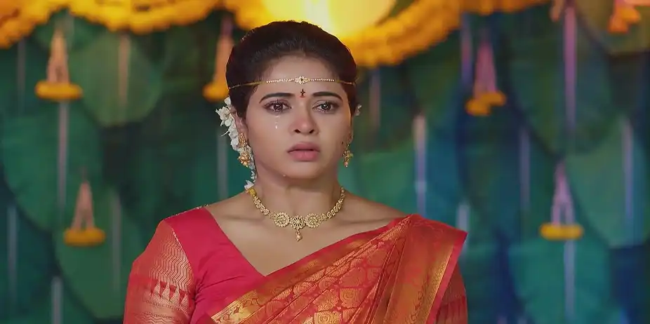Lakshmi Nivasam - August 13, 2025 - Best Scene