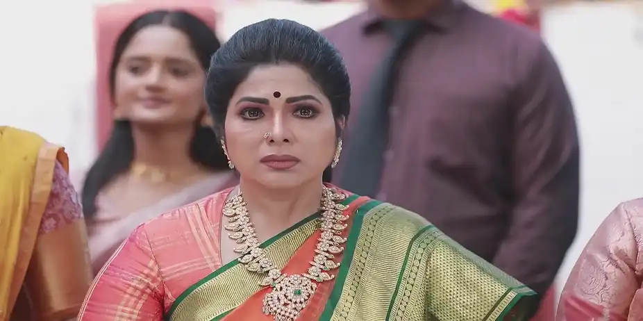 Janakambal Recalls a Painful Memory - Varisu