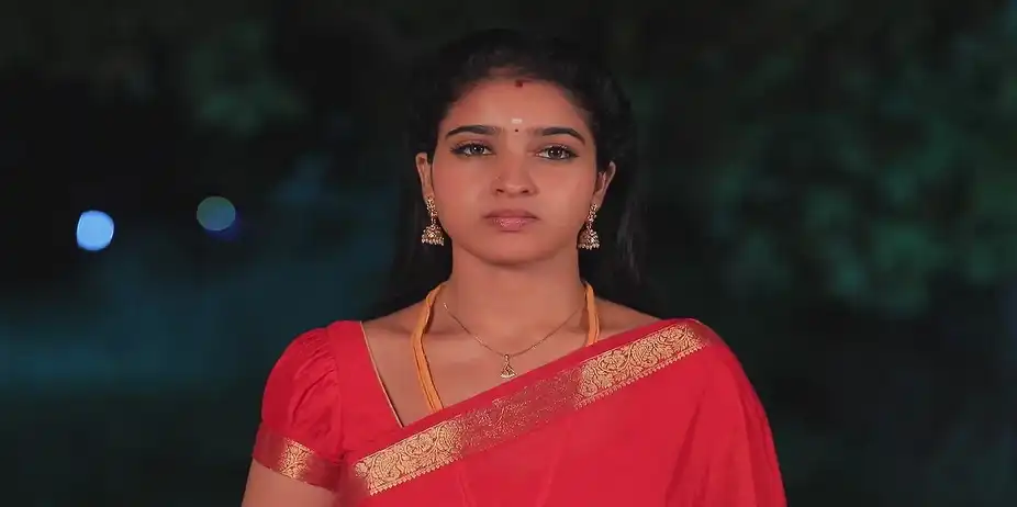 Nandini Apologises about Karikalan - Manasellam