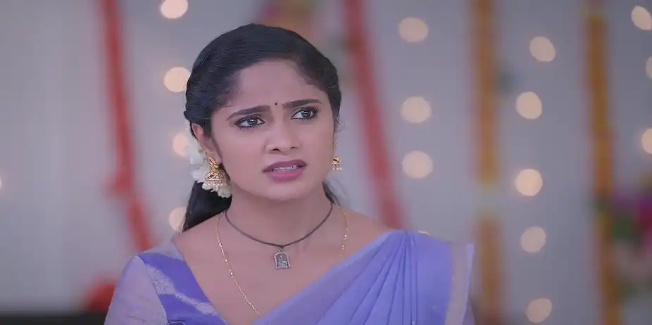 Chellamma's Plan Foils - Ayali