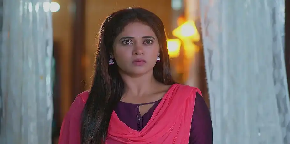 Lakshmi Nivasam - August 20, 2025 - Best Scene