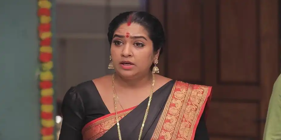 Kalyani's Allegations Against Vanathi - Manasellam