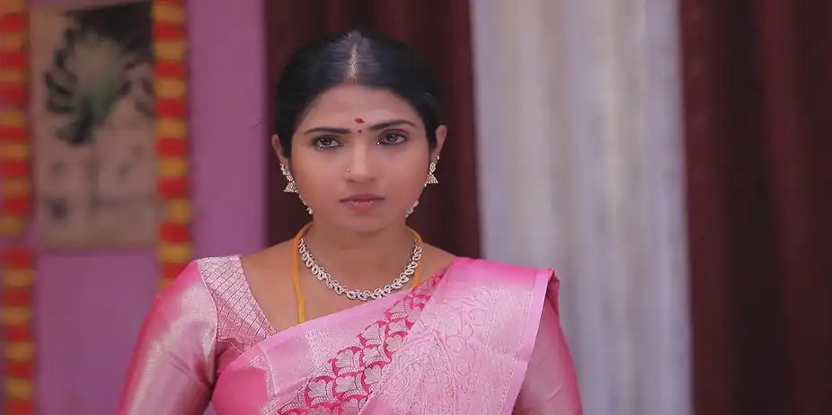 Nandini Sympathises with Vanathi - Manasellam