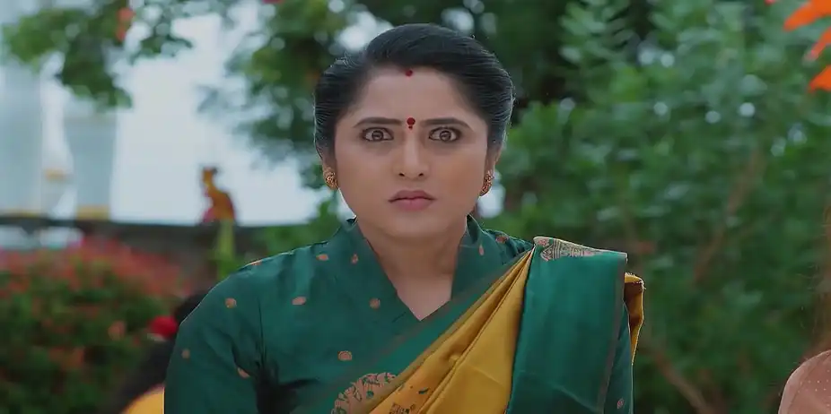 Meghasandesam - August 29, 2025 - Best Scene