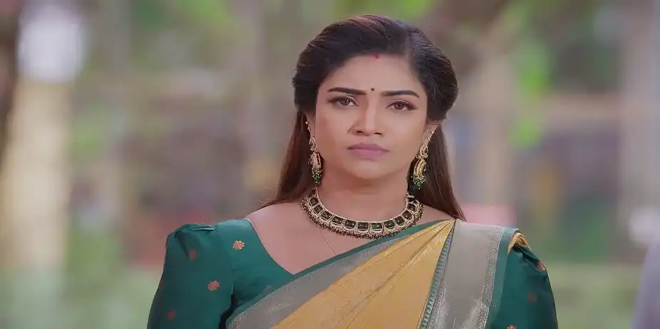 Karthigai Deepam - August 23, 2025 - Best Scene