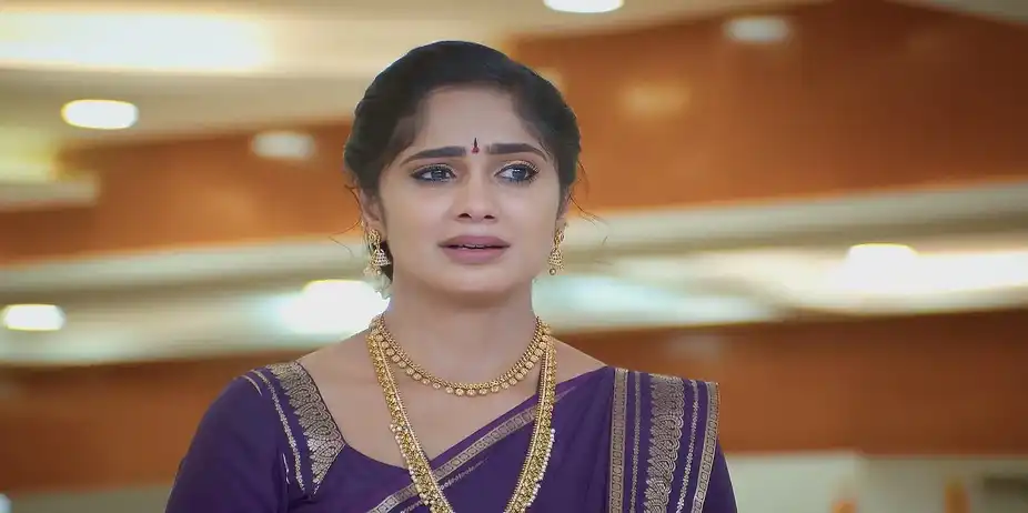 Vijaykumar Learns about Mr X - Ayali