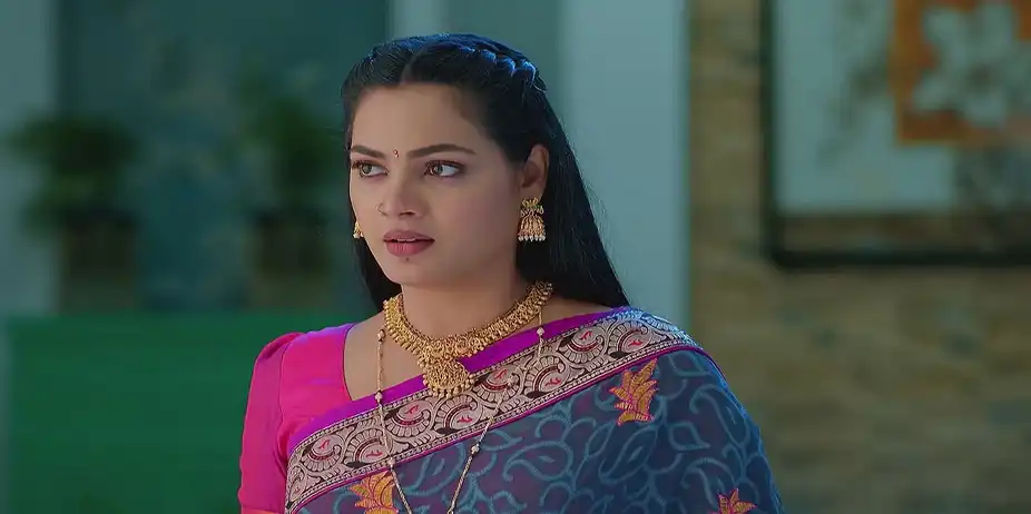 Lakshmi Nivasam - September 02, 2025 - Best Scene