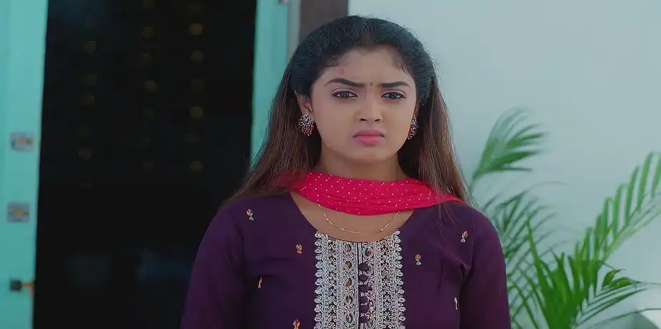 Meghasandesam - September 04, 2025 - Best Scene