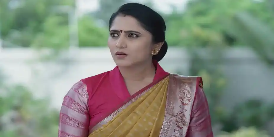 Meghasandesam - September 09, 2025 - Best Scene