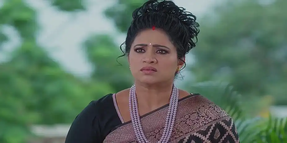 Meghasandesam - September 12, 2025 - Best Scene