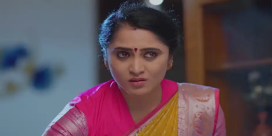 Meghasandesam - September 10, 2025 - Best Scene