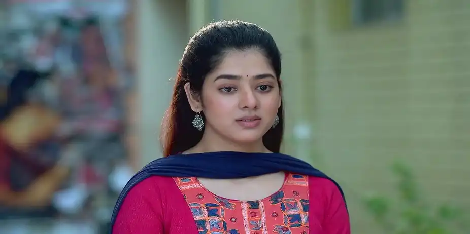 Dr Hindol Asks about Apu's Favourite Colour - Chirodini Tumi Je Amar