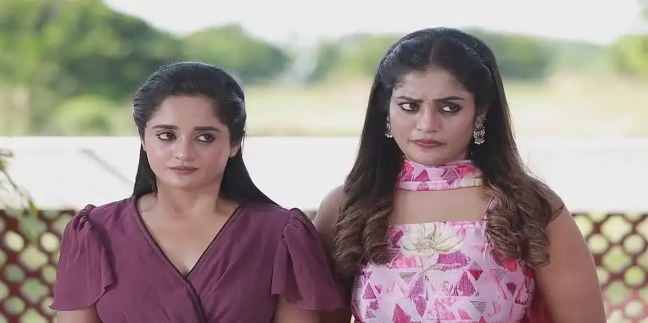 Meena's Disapproval - Varisu