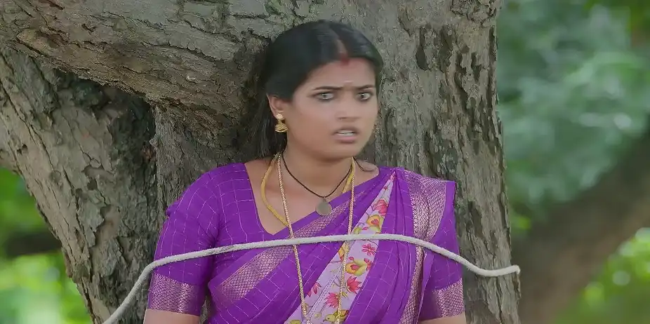 Viji Learns about Maaran's Deed - Veera