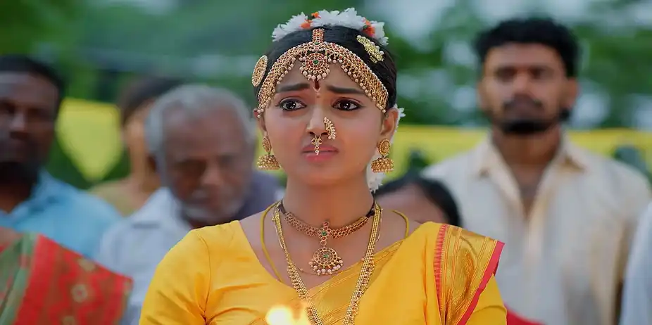 Meghasandesam S1 E417 - Sharath Locks up Bhoomi