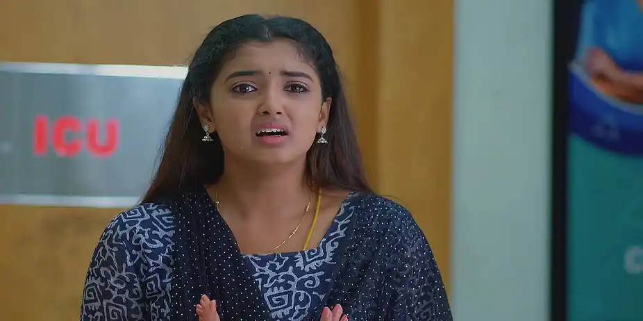 Meghasandesam - September 20, 2025 - Best Scene