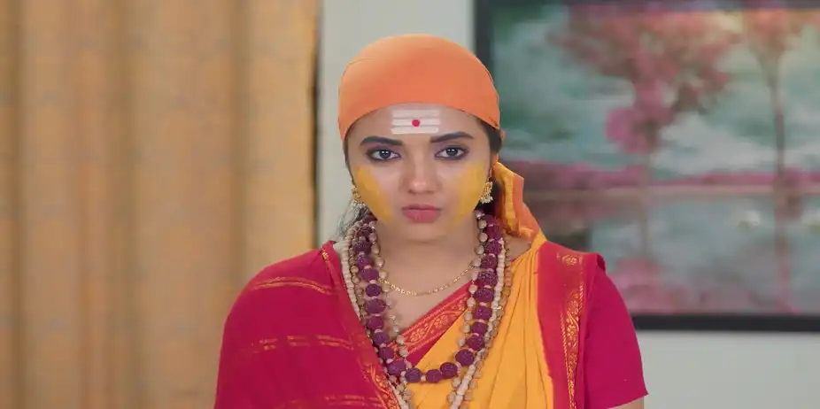 Revathi Finds Kumaran - Karthigai Deepam