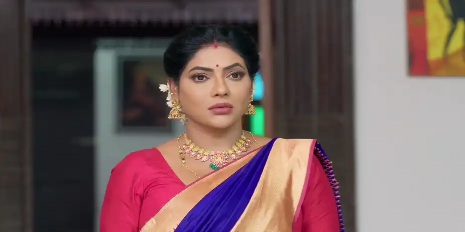 The Stay Order Stuns Sivanandi - Karthigai Deepam