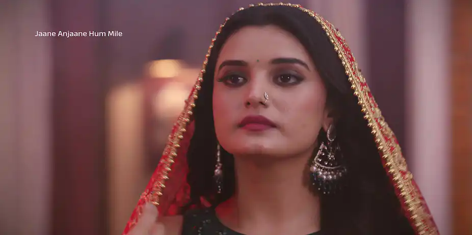 Reet Usurps Raghav’s House from Him - Jaane Anjaane Hum Mile - Promo