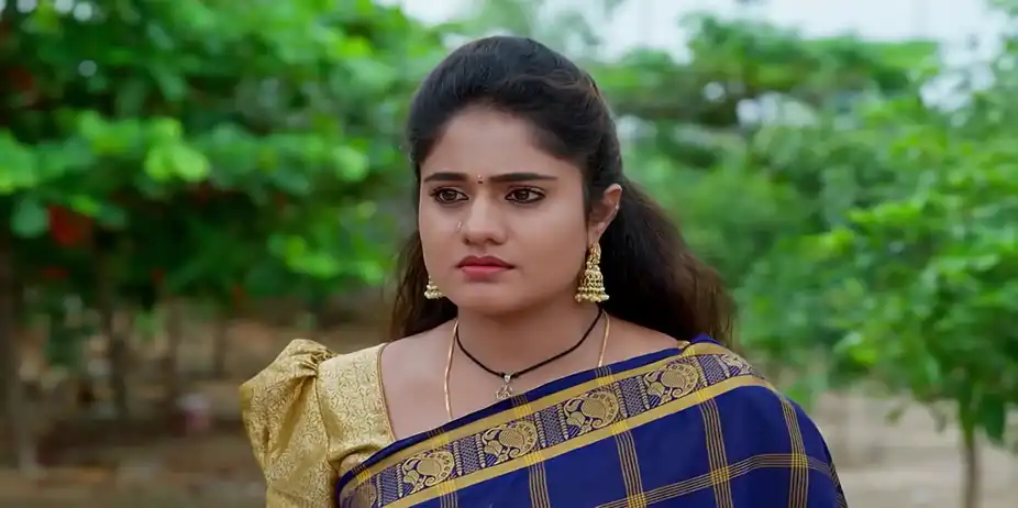 Jagadhatri - October 01, 2025 - Best Scene
