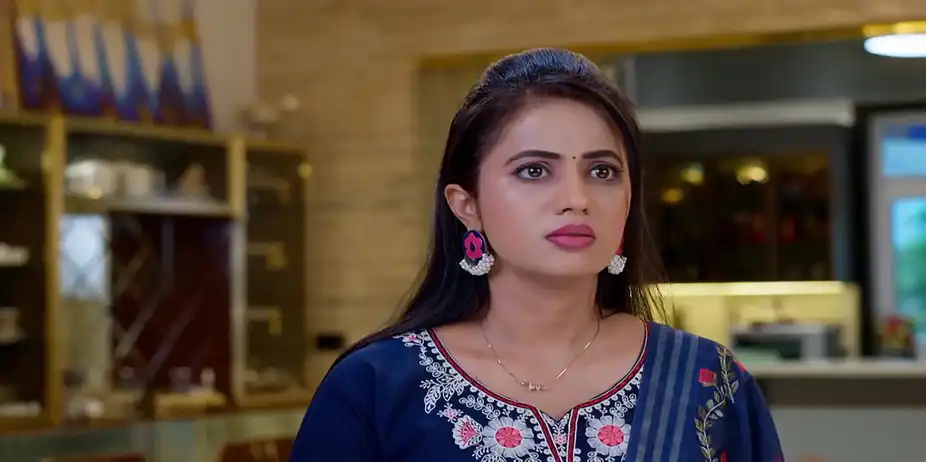 Jagadhatri - October 02, 2025 - Best Scene