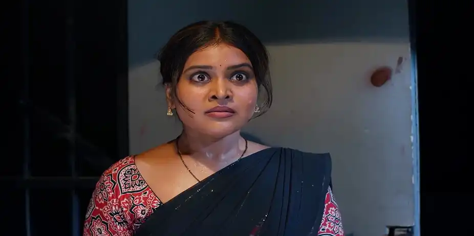 Meghasandesam - October 03, 2025 - Best Scene