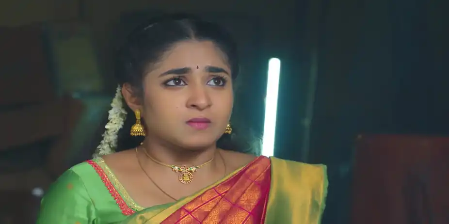 Chinnan Siru Kiliye S1 E51 - Karna Protects Indhu