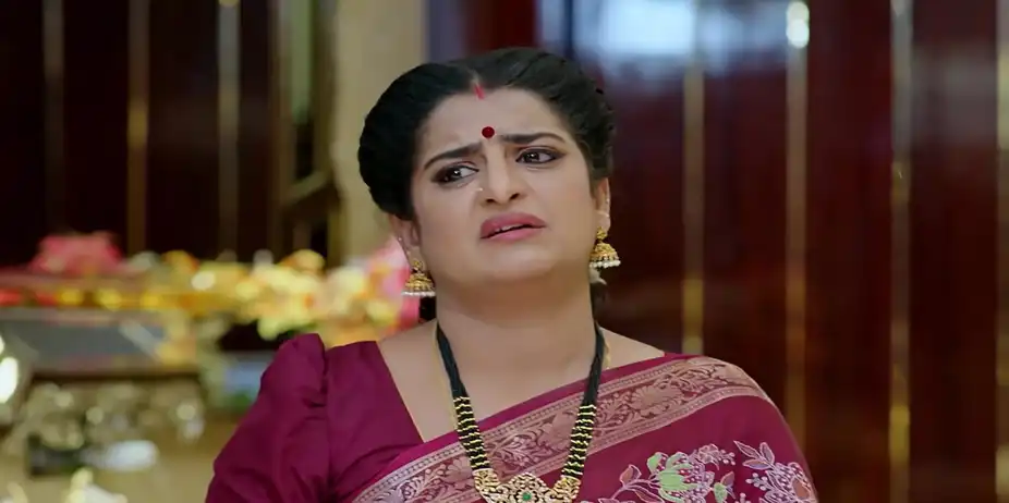Jagadhatri - October 09, 2025 - Best Scene