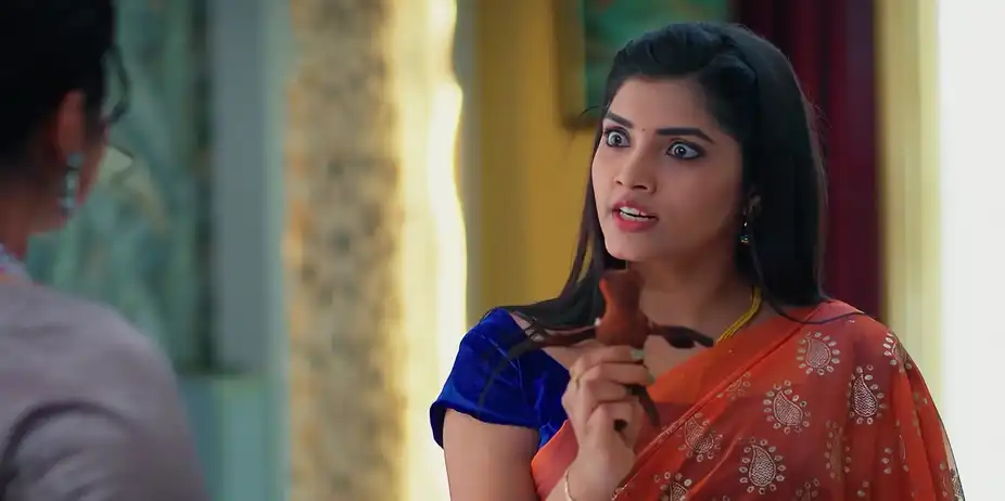 Meghasandesam - October 08, 2025 - Best Scene