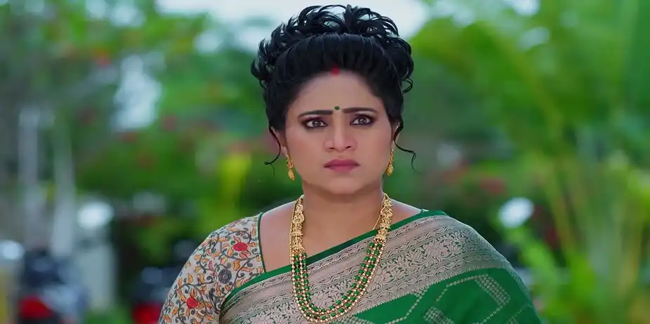 Meghasandesam - October 12, 2025 - Best Scene