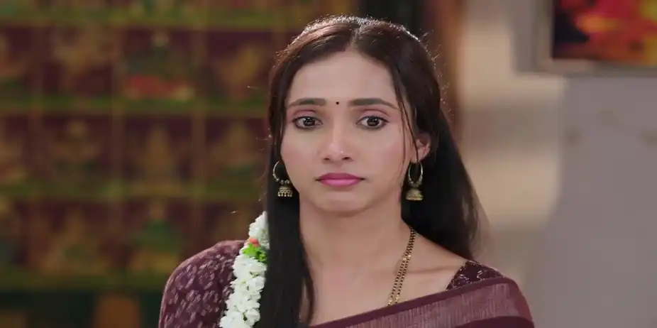 Kantamma Gets Angry with Her Husband - Shravani Subramanya