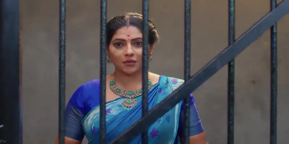 Raja Looks For Naveen - Karthigai Deepam