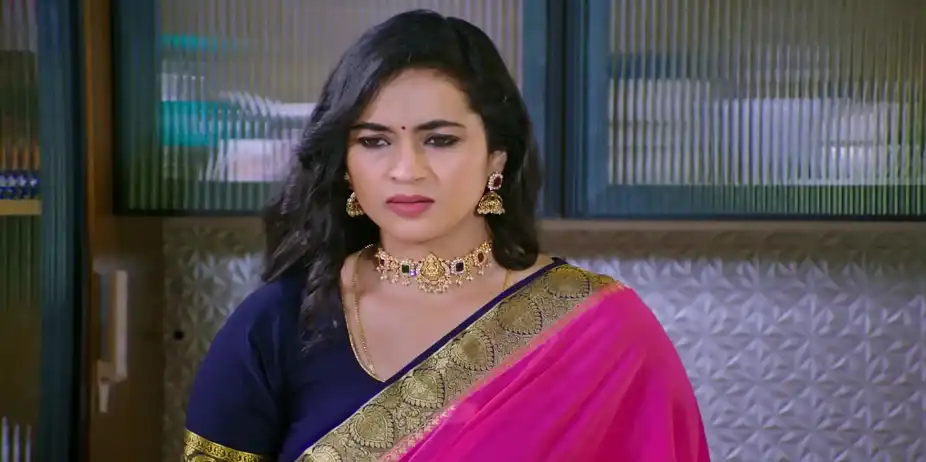 Lakshmi Nivasa - October 22, 2025 - Best Scene