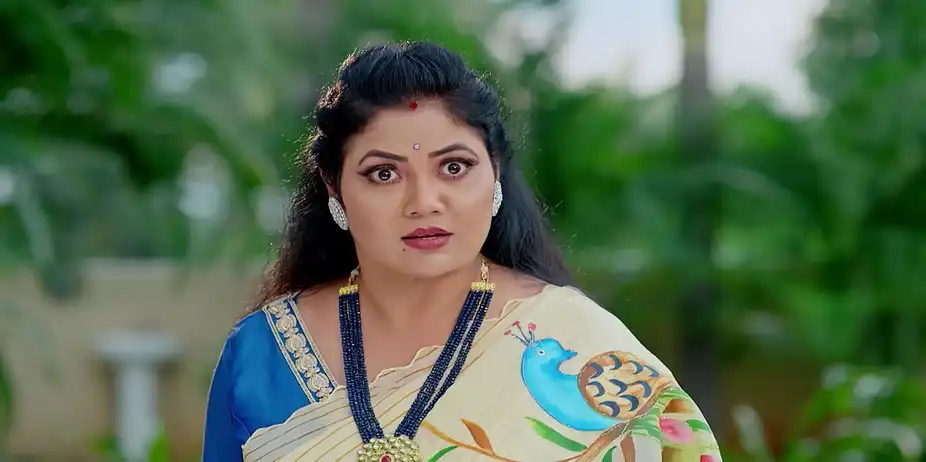 Dheerga Sumangali Bhava - October 28, 2025 - Best Scene