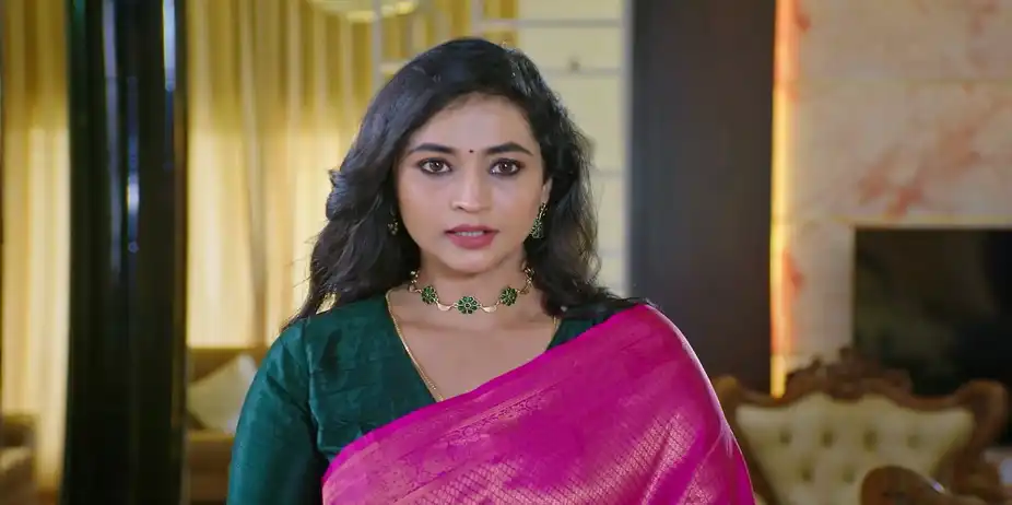 Lakshmi Nivasa - October 27, 2025 - Best Scene