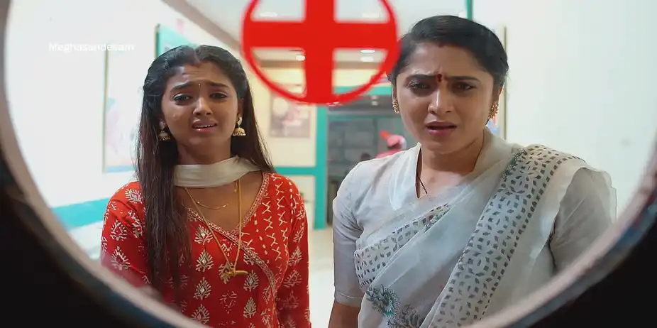 Bhoomi Decides to Hide Krishnaprasad's Truth - Meghasandesam - Promo