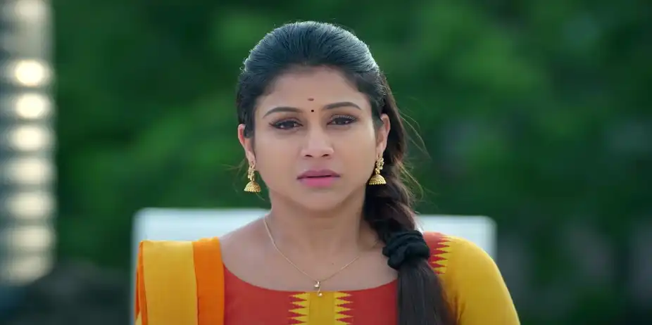 Raghav Reveals Sreeja's Motive